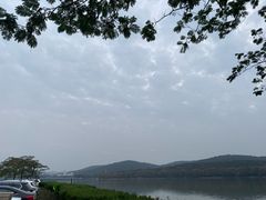 -水上明月·湖景餐厅