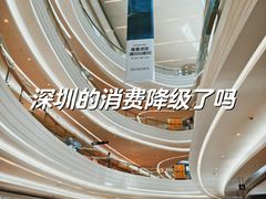 -KK ONE(京基滨河时代店)