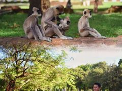 -Ministry of Crab(科伦坡店)