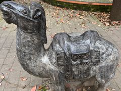 景点-南阳卢园