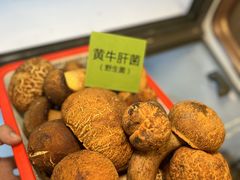-菌海森林·非遗野生菌火锅(西山区滇池路摩根道店)