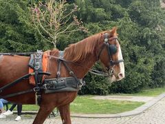 -中国人民大学游泳馆