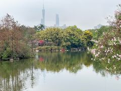 -海珠湖公园