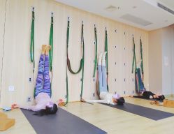 -酉嘉瑜伽YO+YOGA