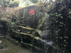 -西安国际创新人才交流中心•药浴温泉
