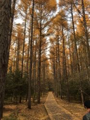 -碧玺沙灸美容美体养生馆