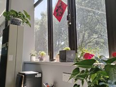 -胜华驾校·小猫学车(银都店)