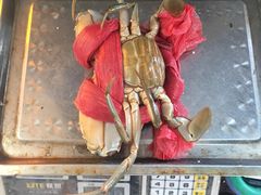 -莲花公园煎蟹(总店)