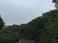 -宝界山林公园