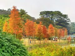 -东莞植物园