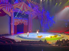 -珠海横琴长隆《卡卡虎奇遇记》