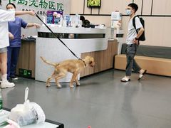 -半岛宠物医院24小时(科华中路店)