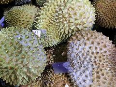 -开皇马来西亚榴莲美食店(华强北店)