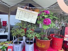 -钱王祠