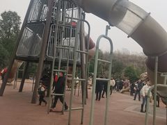 -枫香湖儿童公园