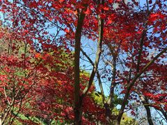 -秦岭终南山世界地质公园翠华山景区