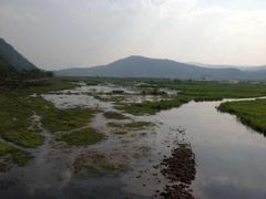 -腾冲北海湿地