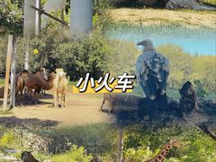 -北京野生动物园