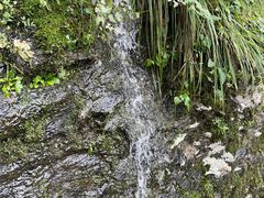 -武当山风景区