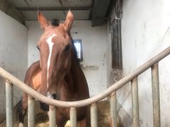 -月河湾马术俱乐部(朝阳店)