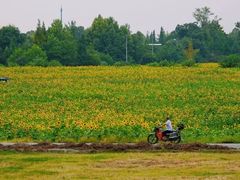 -郫都区农科村景区