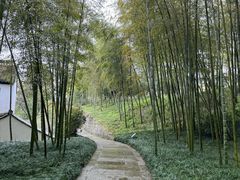 -兰亭风景区