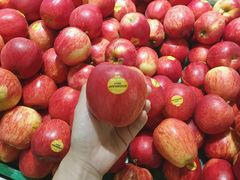 -麦德龙(嘉定店)