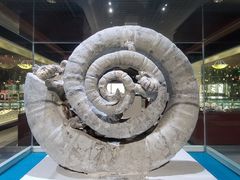 -青岛贝壳博物馆