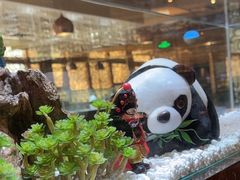 -红辣椒·川菜·火锅(朝外店)