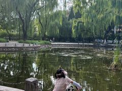 -玲珑塔公园