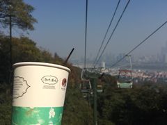 -茶颜悦色(岳麓山顶店)