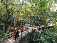 -羚羊峡古栈道森林公园