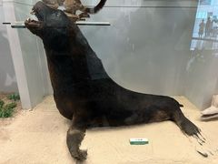 -国家自然博物馆