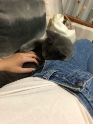 -一笔绣狂草美甲坊