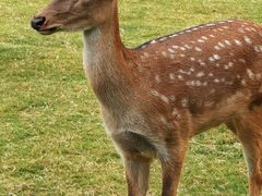 -南京金牛湖风景区