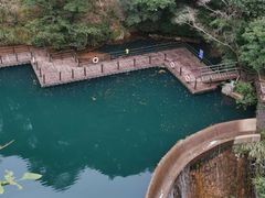 -祁门牯牛降观音堂风景区
