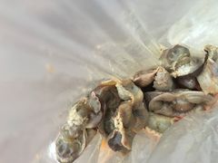 -清真·王家桶子鸡