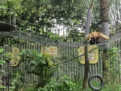 -深圳野生动物园