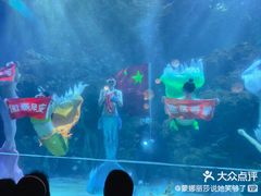 -邯郸海洋世界