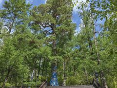 -莫尔道嘎国家森林公园