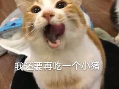 -贺野·自助炭火烤肉(紫藤路店)
