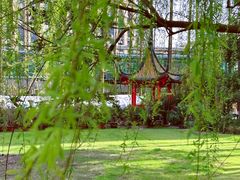 -复旦大学附属中山医院(西院区)