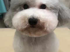 -瑞鹏瑞爱宠物医院·全科·猫科·血液透析中心(龙头寺店)