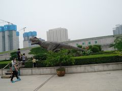 -陕西自然博物馆