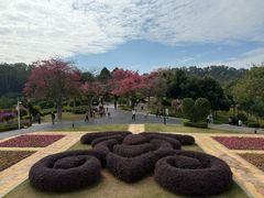-东莞植物园