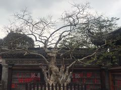 -中山詹园