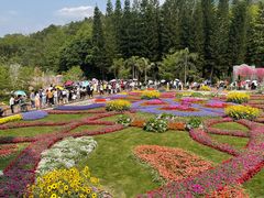 -深圳仙湖植物园