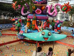 游乐设施-南宫五洲植物乐园