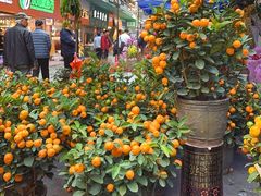 -东川新街市(东川市场店)