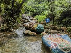 -南海湾森林生态园